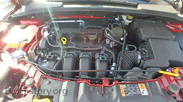 2014 FORD FOCUS - VIN: 1FADP3J27EL367374 - Фото 7