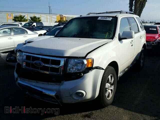 2011 FORD ESCAPE - VIN: 1FMCU0EG8BKB28187 - Photo 2