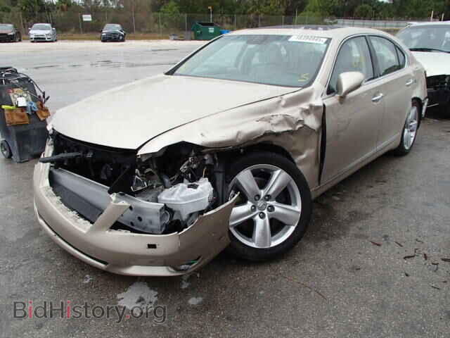 2011 LEXUS LS460 - VIN: JTHBL5EF1B5105631 - Фото 2