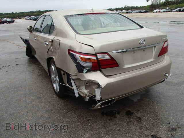2011 LEXUS LS460 - VIN: JTHBL5EF1B5105631 - Фото 3