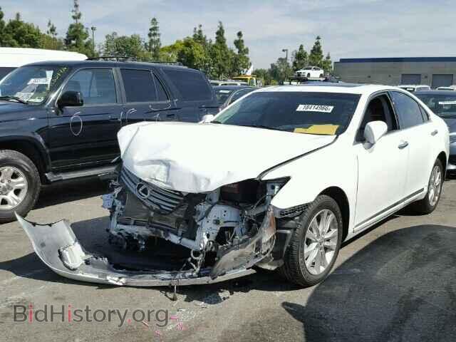 2011 LEXUS ES350 - VIN: JTHBK1EG8B2470989 - Фото 2