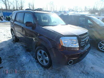 2014 Honda PILOT Pilot EXL, burgundy — VIN 5FNYF4H68EB006011, Copart