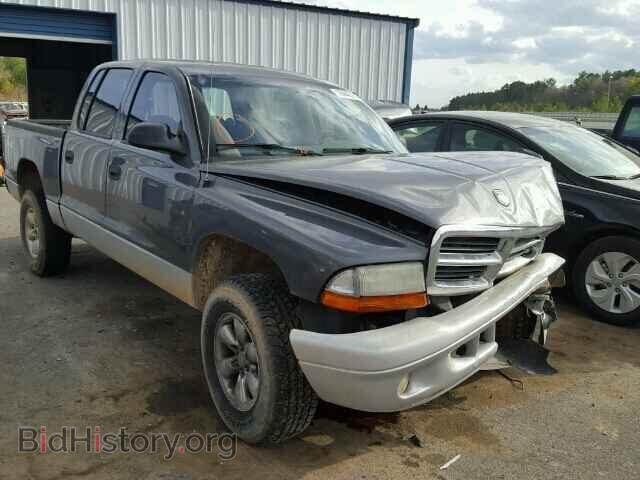 Photo 1D7HG48KX4S507872 - DODGE DAKOTA 2004
