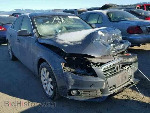Фотография WAUFFAFL4AN025372 - AUDI A4 2010