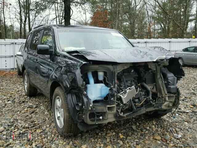 Photo 5FNYF4H40BB044116 - HONDA PILOT 2011