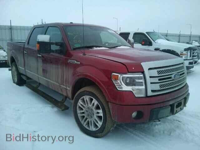 Фотография 1FTFW1EF4DFB86253 - FORD F150 2013