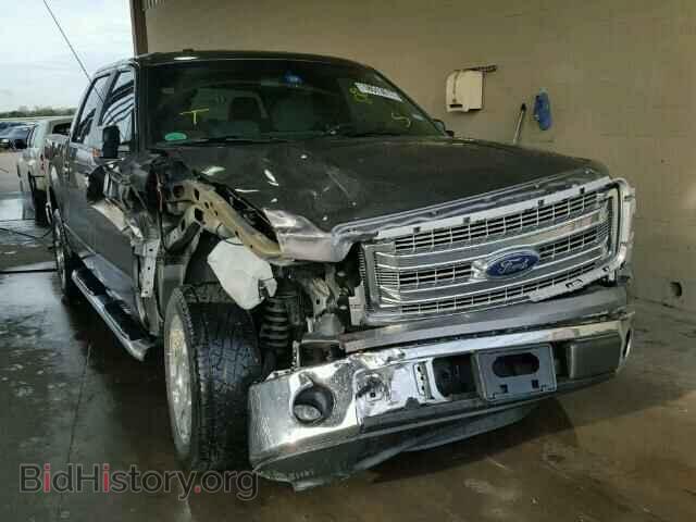 Фотография 1FTFW1CF1DFD55003 - FORD F150 2013