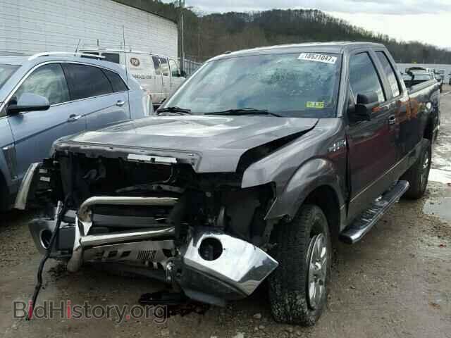 2013 FORD F150 - VIN: 1FTFX1EF7DFD99193 - Фото 2
