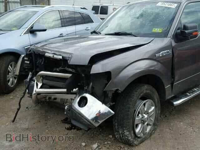 2013 FORD F150 - VIN: 1FTFX1EF7DFD99193 - Фото 9