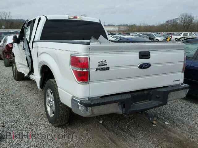 2011 FORD F150 - VIN: 1FTEX1CM4BFB66608 - Фото 3