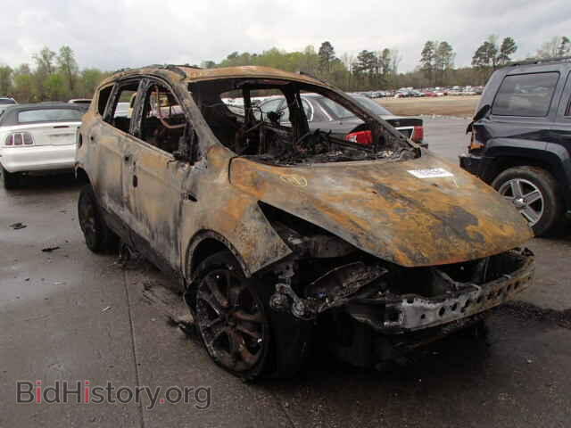 Photo 1FMCU0H91DUC59014 - FORD ESCAPE 2013