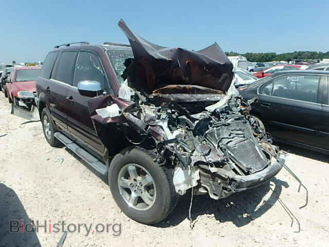 Фотография 5FNYF28787B044919 - HONDA PILOT 2007