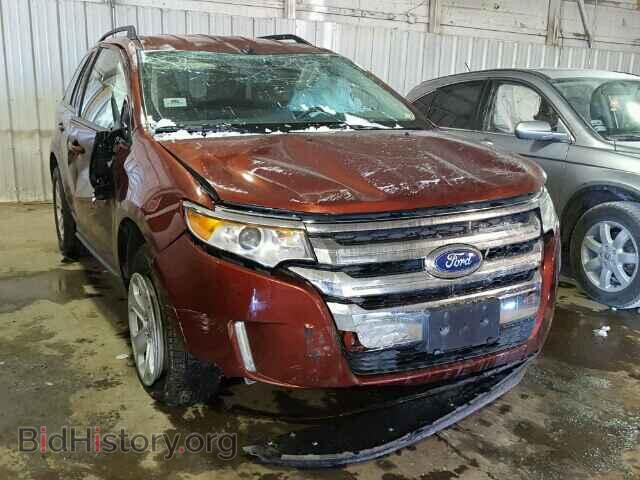 Фотография 2FMDK3JC4EBA32926 - FORD EDGE 2014
