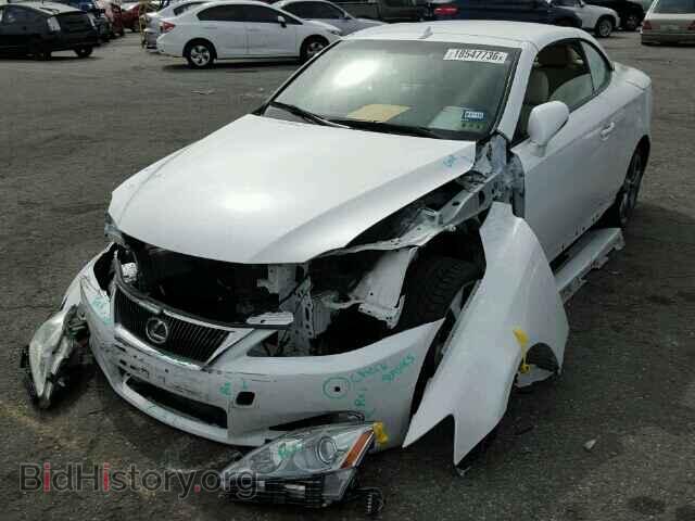 2010 LEXUS IS250 - VIN: JTHFF2C20A2508183 - Фото 2