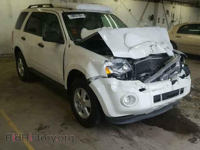 Photo 1FMCU0D7XBKB25776 - FORD ESCAPE 2011