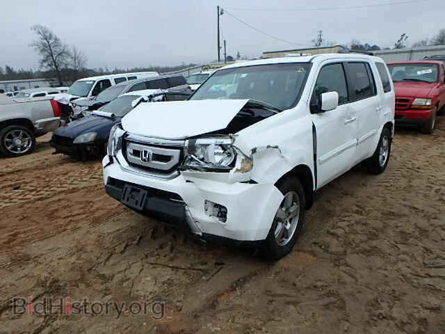2010 HONDA PILOT - VIN: 5FNYF3H61AB012544 - Фото 2