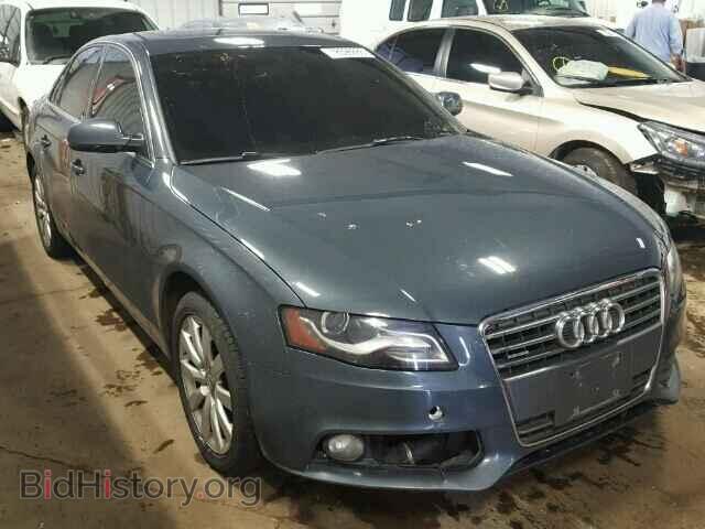 Фотография WAUFFAFL9AN039901 - AUDI A4 2010
