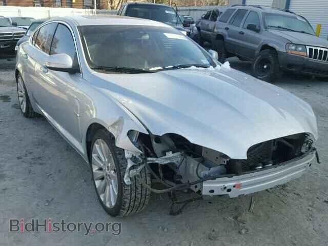 Фотография SAJWA06B69HR09196 - JAGUAR XF 2009