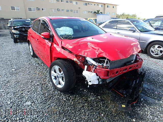 Photo 1FADP3K23DL336586 - FORD FOCUS 2013
