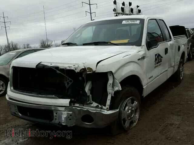 2013 FORD F150 - VIN: 1FTFX1CT5DFC33232 - Фото 2