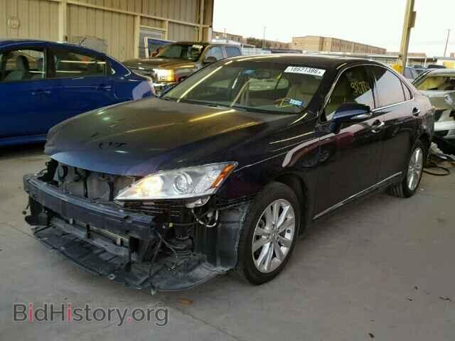 2011 LEXUS ES350 - VIN: JTHBK1EG8B2447552 - Фото 2