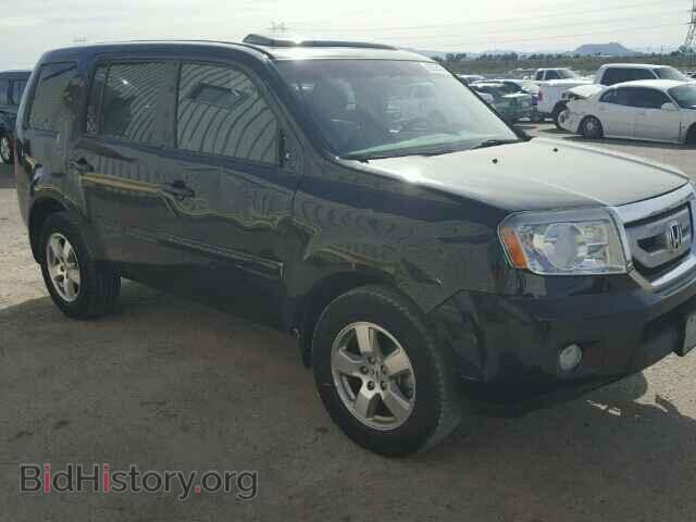 Photo 5FNYF3H59BB047146 - HONDA PILOT 2011