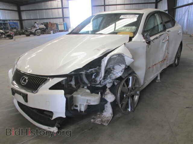 2009 LEXUS IS250 - VIN: JTHBK262395092632 - Фото 2