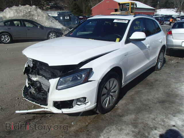 2013 AUDI Q5 - VIN: WA1C8AFP5DA074184 - Фото 2