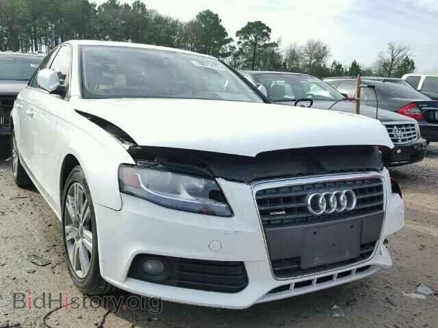 Фотография WAUBFAFL3AN037639 - AUDI A4 2010