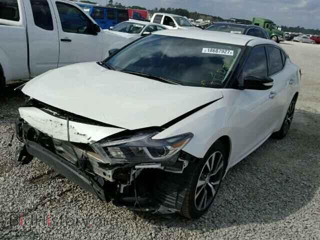 2016 NISSAN MAXIMA - VIN: 1N4AA6AP2GC387620 - Фото 2