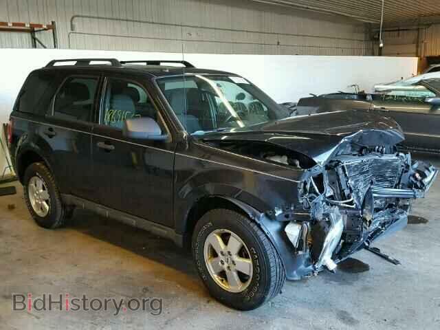 Фотография 1FMCU0DG2BKB00886 - FORD ESCAPE 2011