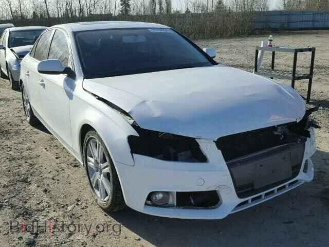 Фотография WAUBFAFL3BN041790 - AUDI A4 2011