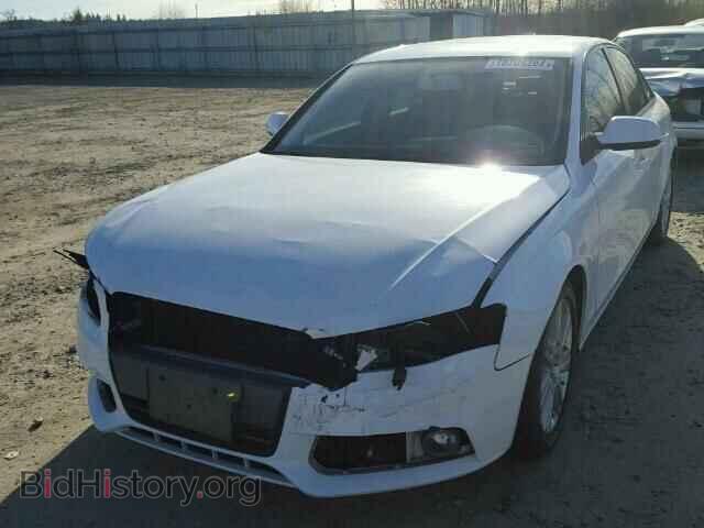 2011 AUDI A4 - VIN: WAUBFAFL3BN041790 - Фото 2