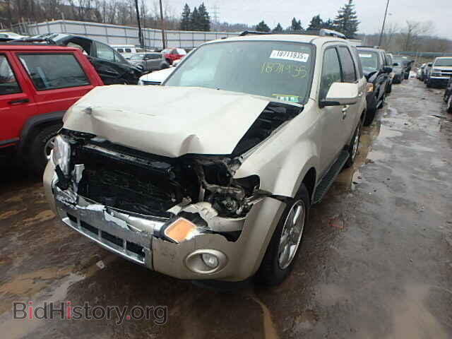 2011 FORD ESCAPE - VIN: 1FMCU0EG7BKB89837 - Фото 2