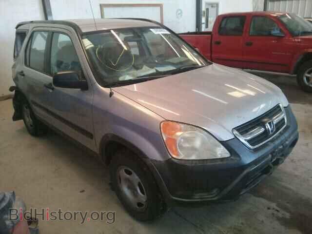 Photo JHLRD68473C007992 - HONDA CRV 2003
