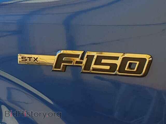 2013 FORD F150 - VIN: 1FTFX1CF0DKF17627 - Фото 10