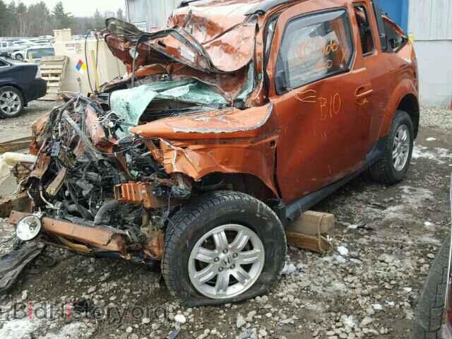 2007 HONDA ELEMENT - VIN: 5J6YH28787L006494 - Фото 2