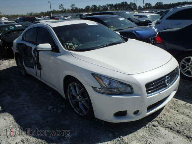 Фотография 1N4AA5AP1BC809136 - NISSAN MAXIMA 2011