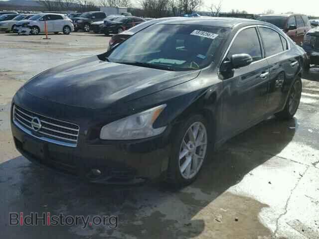 2009 NISSAN MAXIMA - VIN: 1N4AA51E29C824205 - Фото 2