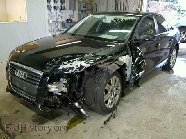 2011 AUDI A4 - VIN: WAUBFAFL3BN056127 - Фото 2
