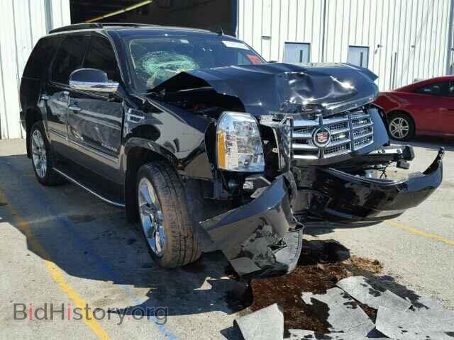 Фотография 1GYS4AEF8BR398955 - CADILLAC ESCALADE 2011