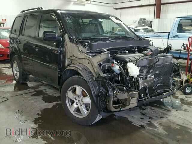 Photo 5FNYF3H65BB034774 - HONDA PILOT 2011