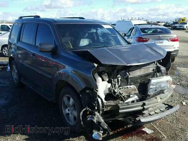 Фотография 5FNYF3H66BB041295 - HONDA PILOT 2011
