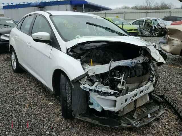 Photo 1FADP3F2XFL353981 - FORD FOCUS 2015