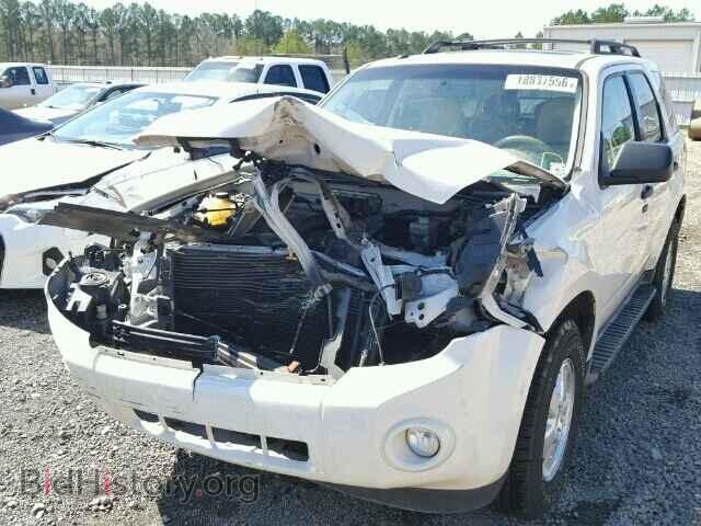 2009 FORD ESCAPE - VIN: 1FMCU03G89KA09102 - Фото 2