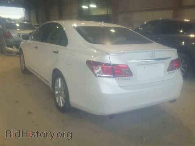 2010 LEXUS ES350 - VIN: JTHBK1EG8A2407714 - Фото 3