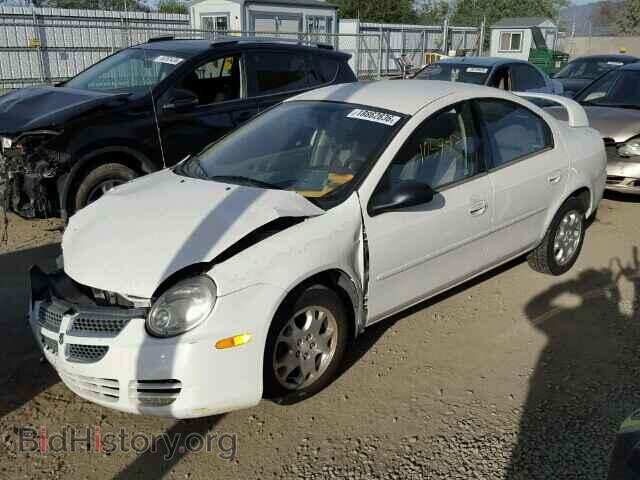 2004 DODGE NEON - VIN: 1B3ES56C54D590257 - Фото 2