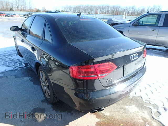 2010 AUDI A4 - VIN: WAUBFAFL4AN008392 - Фото 3