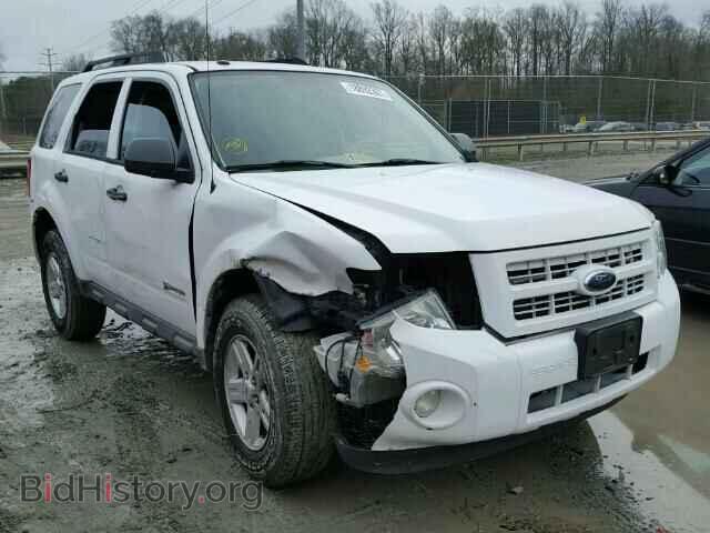 Фотография 1FMCU593X9KB20106 - FORD ESCAPE 2009
