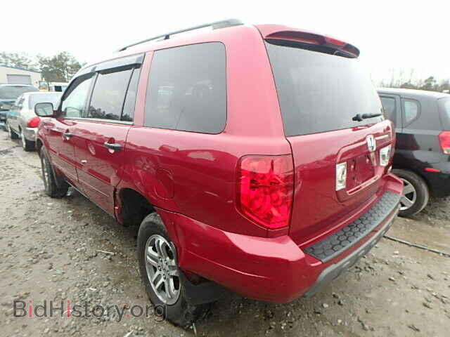 2005 HONDA PILOT - VIN: 5FNYF18575B068148 - Фото 3